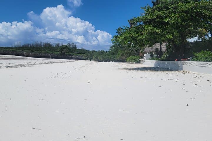 Jozani Forest to The Rock: Full-Day Zanzibar Coastal Explorer photo 5