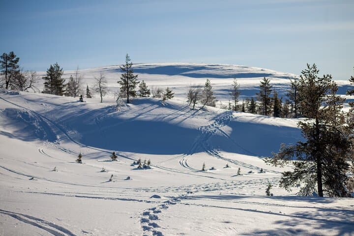 Private Snowshoeing Safari in Pallas National Park — Levi Pickup & Campfire