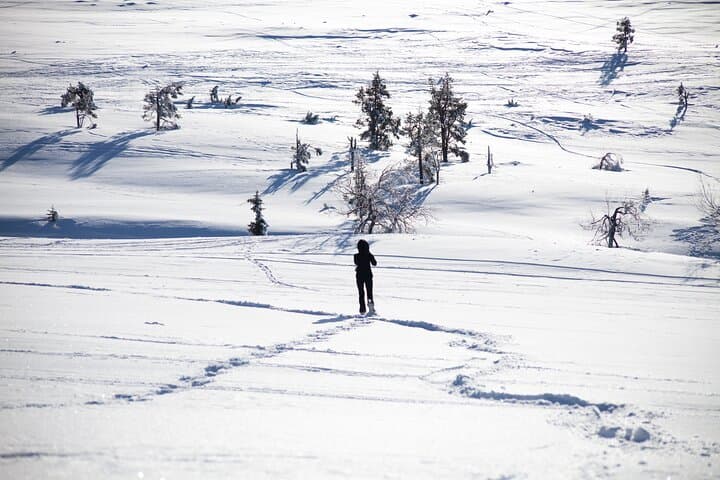 Private Snowshoeing Safari in Pallas National Park — Levi Pickup & Campfire photo 3