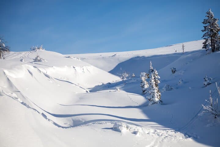 Private Snowshoeing Safari in Pallas National Park — Levi Pickup & Campfire photo 4