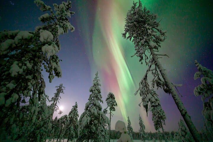 Levi Aurora Chase: 4x4 Northern Lights Hunt with Guarantee photo 3