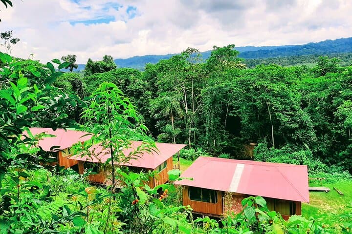 2-Day Manu Jungle Tour from Cusco — Amazon Pona Lodge Wildlife Immersion photo 2