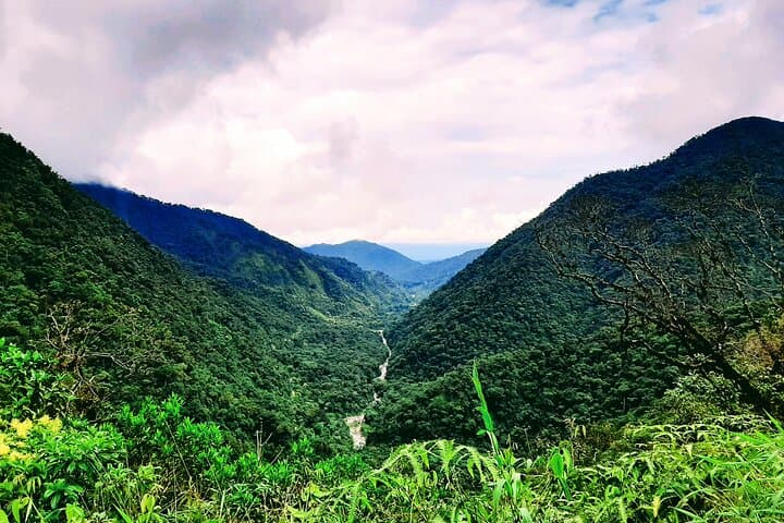 2-Day Manu Jungle Tour from Cusco — Amazon Pona Lodge Wildlife Immersion photo 4