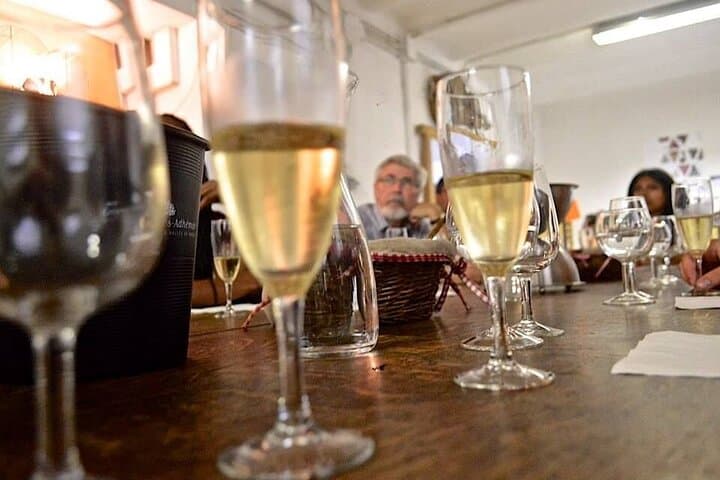 Organic Wine Tasting in Nice: Urban Warehouse Tour of France's Organic Wines photo 2