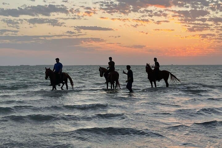 Horseback Riding in Saudi Arabia: Riyadh Red Sands, Jeddah Coast & Al Ula Trails