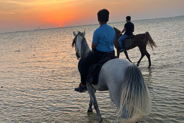 Horse Riding in Jeddah: Beach Rides Along Khalij Salman and the Red Sea photo 3