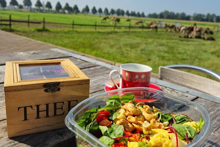 Camel Dairy Tour from Amsterdam to Berlicum — Visit the Netherlands' Only Camel Farm photo 4