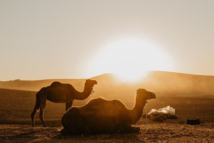 Agafay Magic Sunset Package: Quad Biking, Camel Trek & Desert Feast Near Marrakech photo 2
