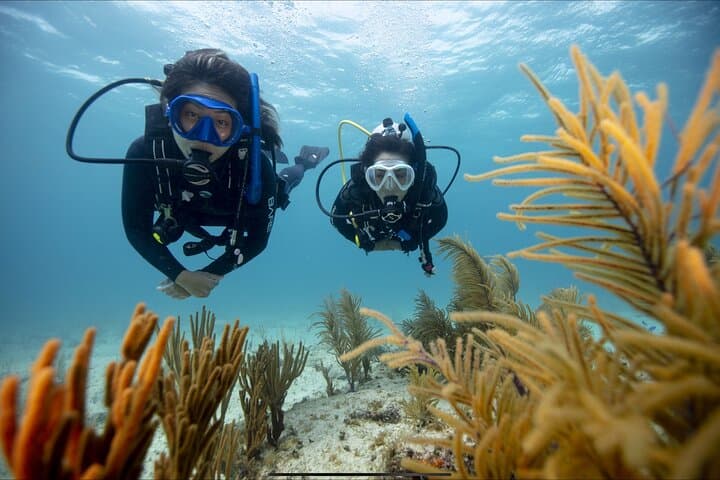 Discover Scuba Diving in Waikiki: PADI Beginner Dive with Uncle Kimo’s photo 4