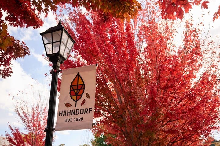Adelaide Shore Excursion: Barossa Wine, Mount Lofty Views & Hahndorf Day Tour
