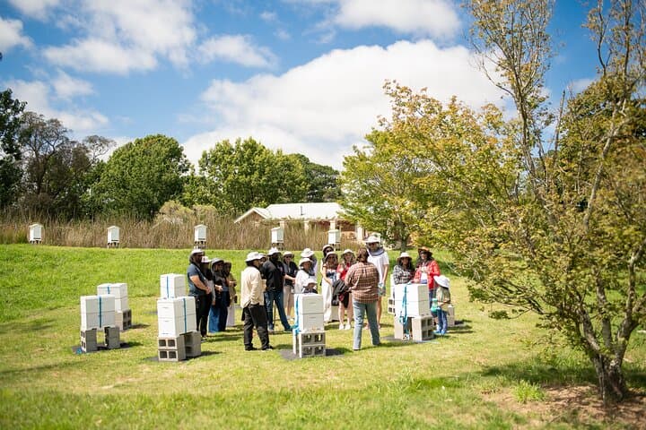 Honey Farm Tour & Guided Tasting at Retford Park, Bowral photo 5