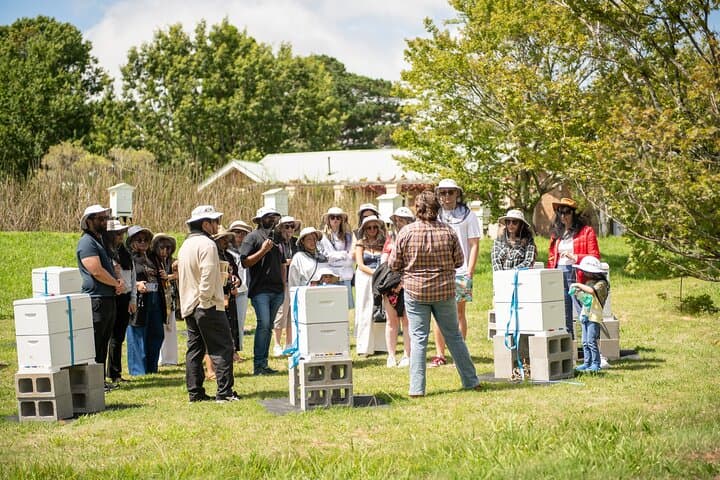 Honey Farm Tour & Guided Tasting at Retford Park, Bowral