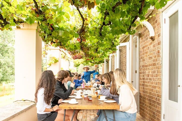 Honey Farm Tour & Guided Tasting at Retford Park, Bowral photo 3