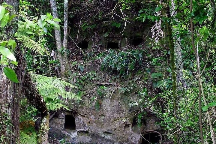 Rotorua Pure Cruise: Lake Rotoiti Glowworms, Tree Jumps & Hell's Gate Mud Baths photo 2