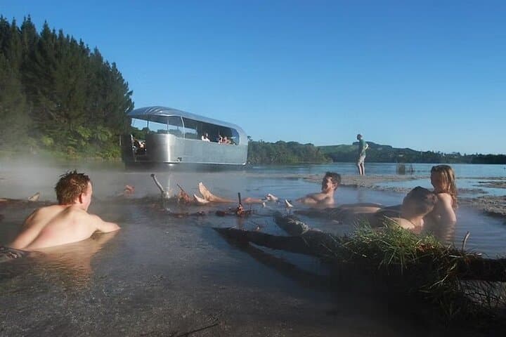 Rotorua Pure Cruise: Lake Rotoiti Glowworms, Tree Jumps & Hell's Gate Mud Baths