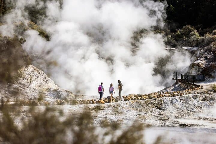 Rotorua Pure Cruise: Lake Rotoiti Glowworms, Tree Jumps & Hell's Gate Mud Baths photo 3