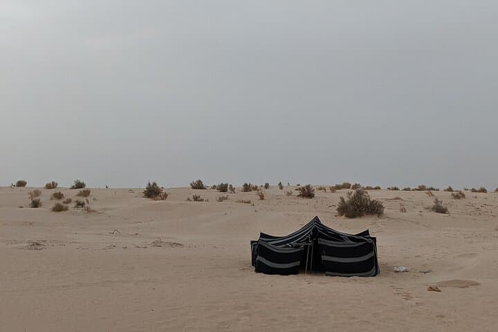 Overnight Sahara Desert Camp Experience from Douz photo 2
