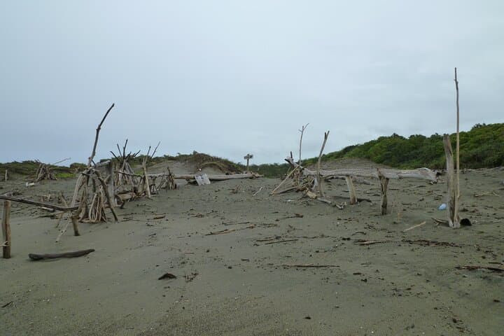 Sigatoka Sand Dune & Biausevu Waterfall Day Tour from Nadi photo 4