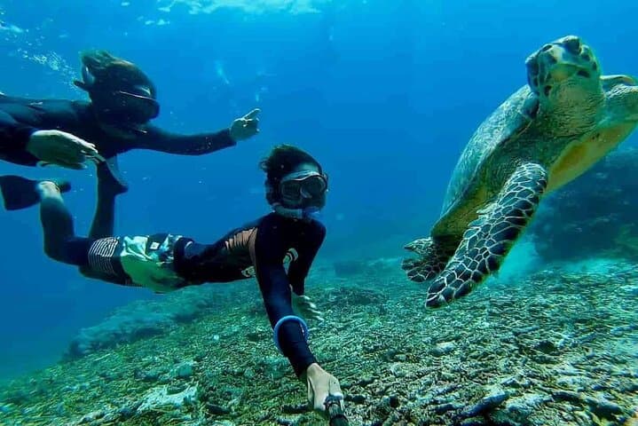 Bali Blue Lagoon Snorkeling: Two-Spot Padangbai Trip with Lunch & Transport photo 4