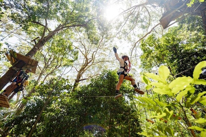 Currumbin TreeTop Challenge: Zipline Over a Crocodile Enclosure photo 2