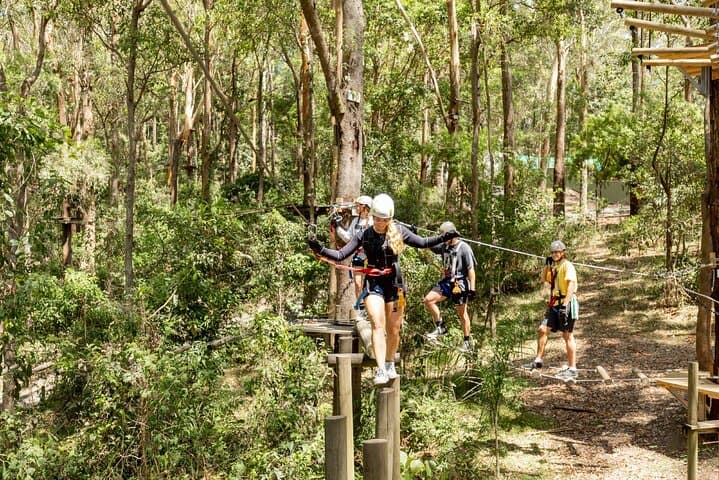 Currumbin TreeTop Challenge: Zipline Over a Crocodile Enclosure photo 4