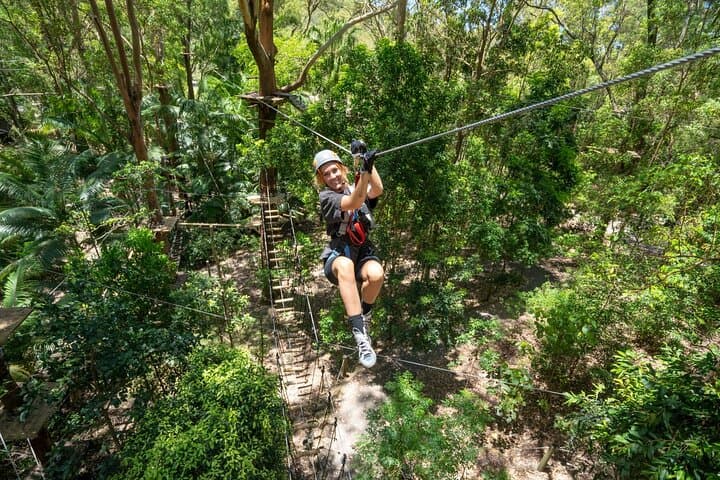 Currumbin TreeTop Challenge: Zipline Over a Crocodile Enclosure photo 5