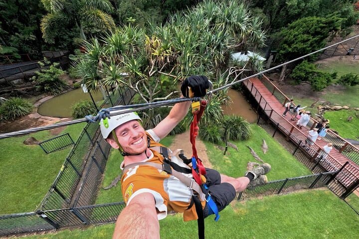 Currumbin TreeTop Challenge: Zipline Over a Crocodile Enclosure