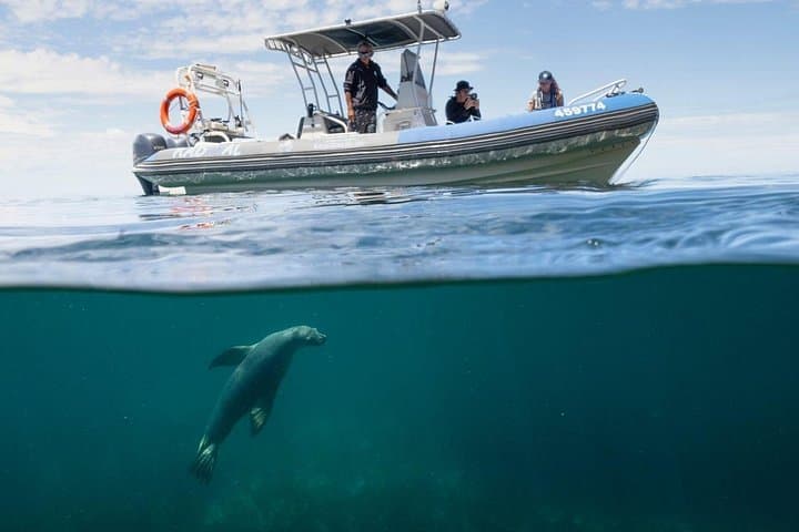 Kangaroo Island Ultimate Adventure: Sandboarding, Kayaking & Sundowner Cruise from Kingscote photo 4