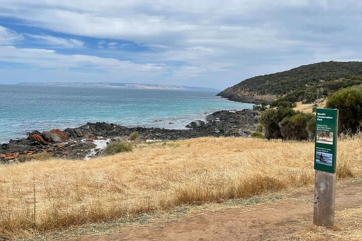 Kangaroo Island Ultimate Adventure Tour from Penneshaw — Hike, Lunch & Dolphin Swim photo 2