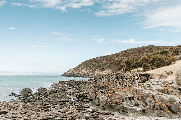 Kangaroo Island Ultimate Adventure Tour from Penneshaw — Hike, Lunch & Dolphin Swim photo 3