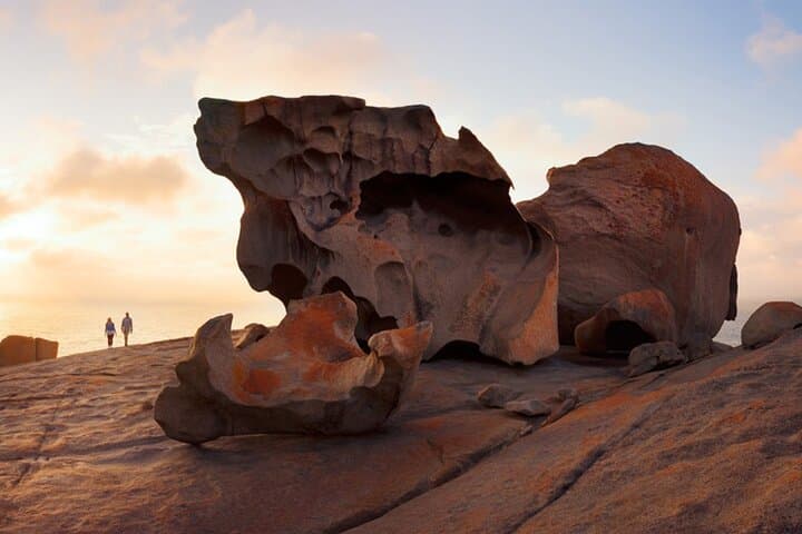 Kangaroo Island in 3 Days: Wildlife, Coastlines, and Cellar Doors