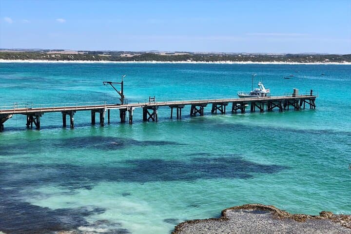 Kangaroo Island in 3 Days: Wildlife, Coastlines, and Cellar Doors photo 6