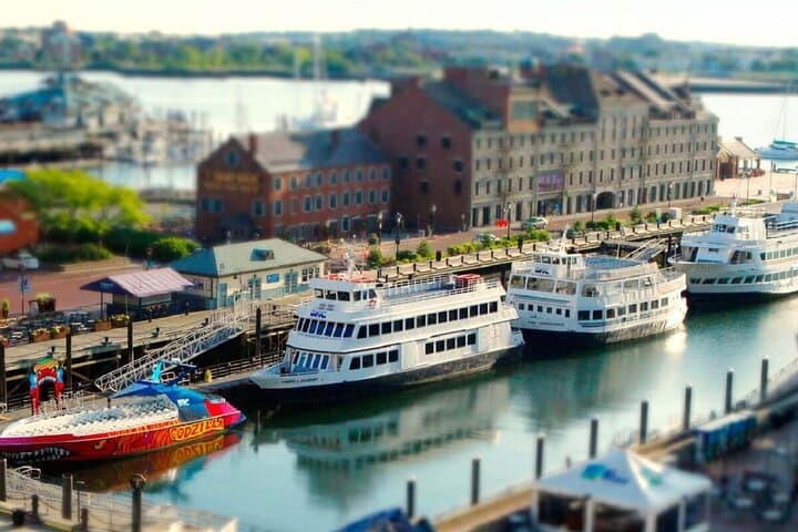 Best of Boston Day Trip: Harvard, MIT & Harbor Cruise photo 6