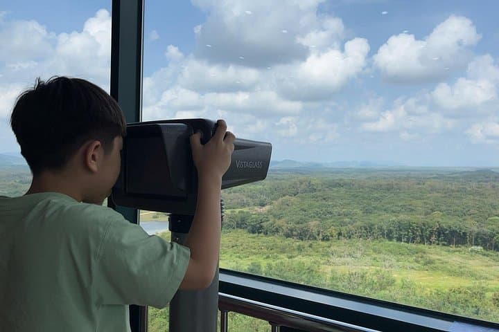 DMZ Day Tour from Seoul: 2nd Tunnel, Peace Observatory & Majang Lake Suspension Bridge