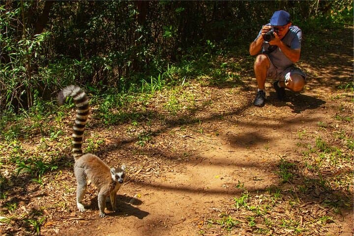 Hidden Forest Wildlife Sanctuary: Primate Encounters Near Durban photo 2