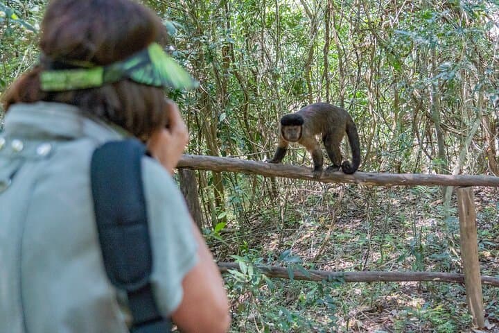 Hidden Forest Wildlife Sanctuary: Primate Encounters Near Durban photo 3