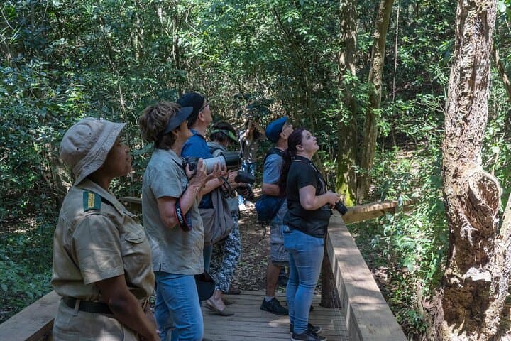 Hidden Forest Wildlife Sanctuary: Primate Encounters Near Durban photo 4