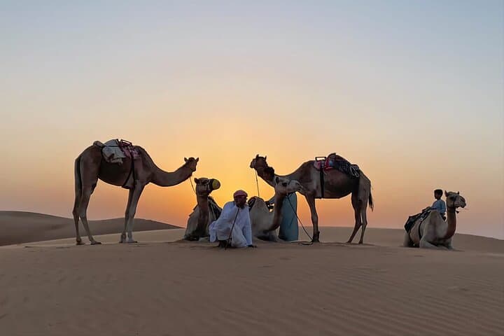 Wahiba Sands & Wadi Bani Khalid Day Tour: Swim Mountain Pools and Explore Oman’s Dunes photo 5