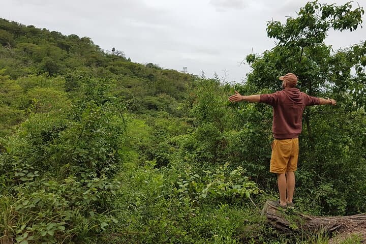 Hidden Forest Wildlife Sanctuary: Primate Encounters Near Durban photo 6
