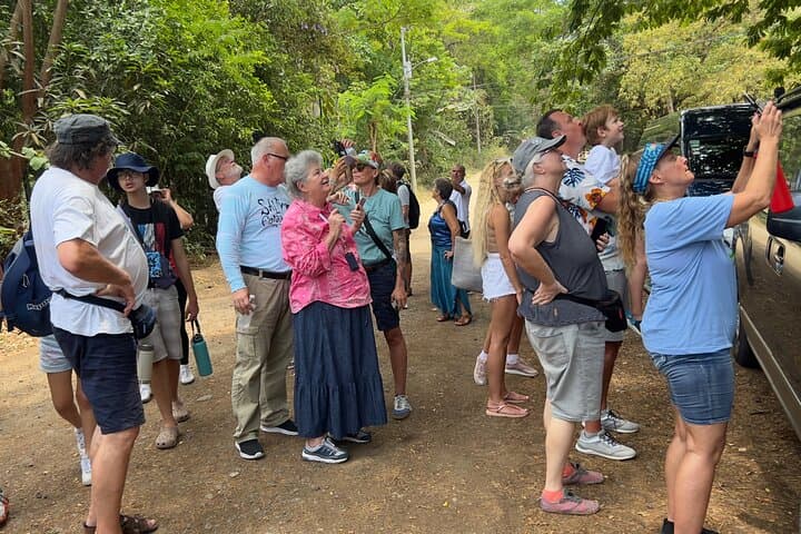 Puntarenas Eco Safari: Tárcoles River Crocs, Monkeys & Pacific Views photo 3