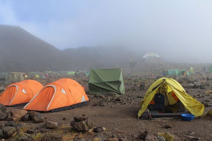 7-Day Lemosho Route Kilimanjaro Trek — Acclimatized Ascent via Barafu & Mweka photo 1