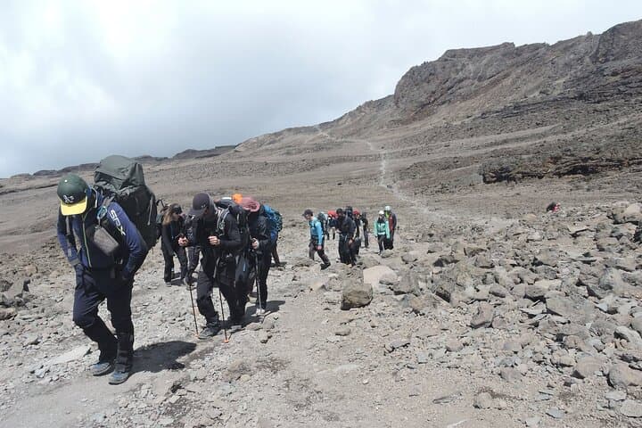 Lemosho Route 8-Day Kilimanjaro Trek: Private Guided Summit via Barafu and Mweka