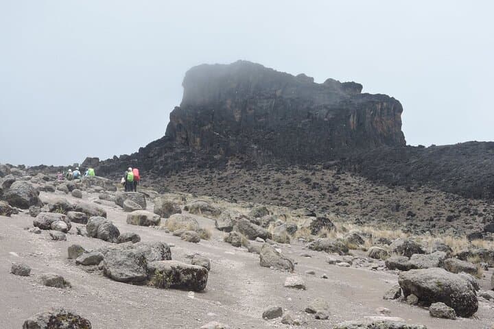 Lemosho Route 8-Day Kilimanjaro Trek: Private Guided Summit via Barafu and Mweka photo 2