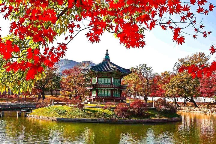 Customized 5-Day Seoul + Jeju Private Tour with Seongsan Sunrise Peak photo 1