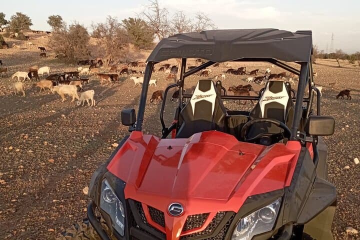 Agadir Buggy Adventure: Agafay Desert Rides, Berber Tea & Argan Forest Encounters photo 3