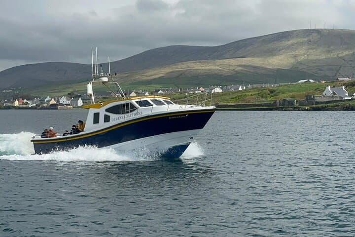 Skellig Michael Boat Tour: Scenic Wild Atlantic Way Cruise photo 3