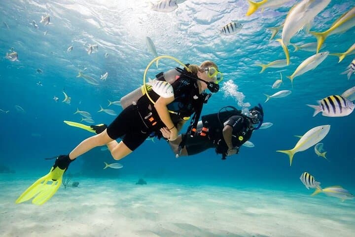 Mediterranean Diving Tour from Antalya or Kemer — Two Guided Dives with Lunch
