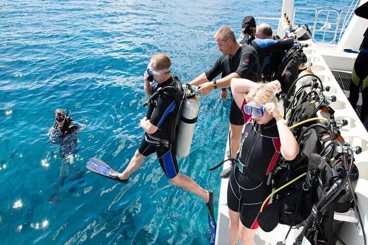 Mediterranean Diving Tour from Antalya or Kemer — Two Guided Dives with Lunch photo 4