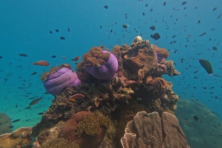 Koh Kood Speedboat Snorkeling: Ko Raet & Ko Rang Day Trip with Lunch photo 3