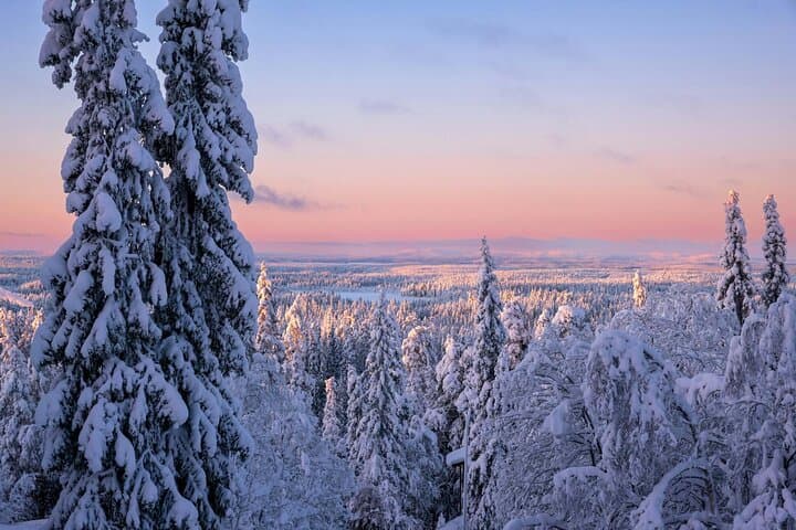 Levi Snowshoe & Reindeer Encounter — Hike to Santa's Cabin